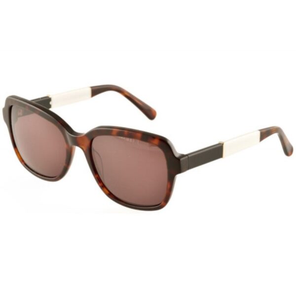 sunglasses envy women square brown havana acetate brown lenses uvprotection