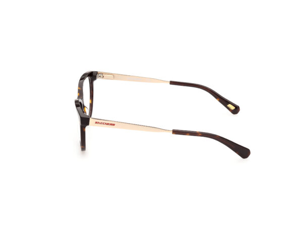 frame glasses skechers butterfly cat eye brown havana acetate gold rods