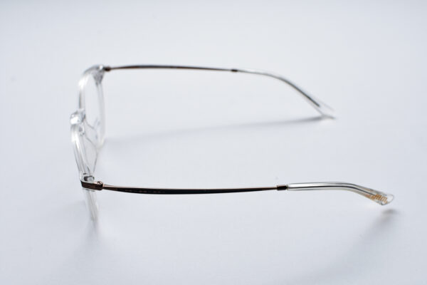 frame glasses madamme monsieure men women unisex round shape transparent acetate metal sides