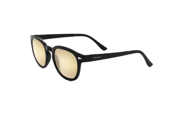 sunglasses polar men women unisex round shape plastic frame black color gold mirror polarized lenses uvprotection