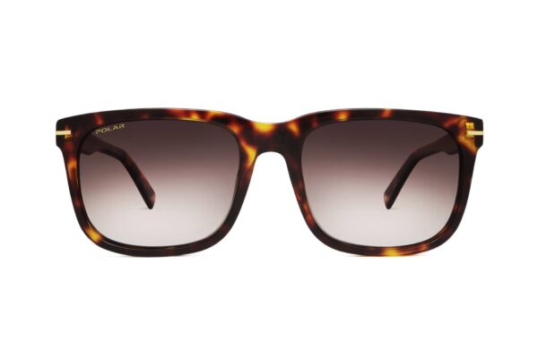 sunglasses polar men square shape brown havana acetate gradient brown polarized lenses uvprotection