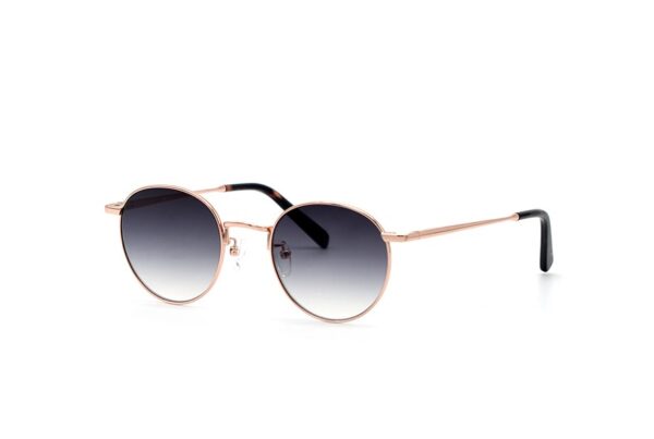 sunglasses bluesky men women unisex round shape rose gold metal frame gradient grey lenses antireflex coat