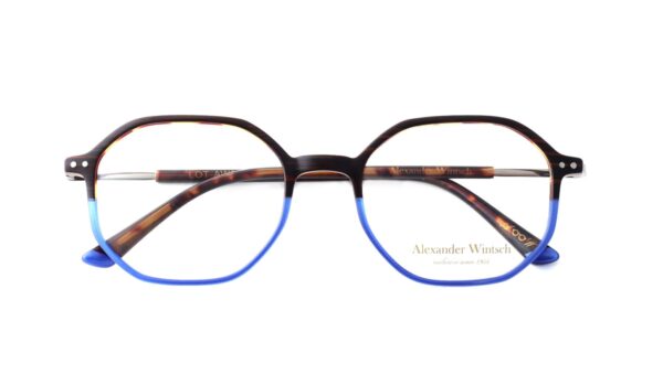 eyeglasses alexander wintch men women unisex polygonal shape brown havana and blue bicolor acetate silver metal temples