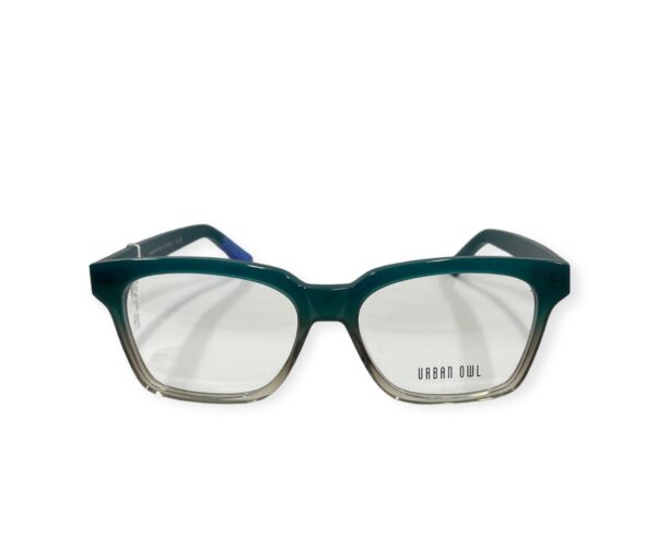 eyeglasses urban owl square shape slightly butterfly women green acetate transparent details