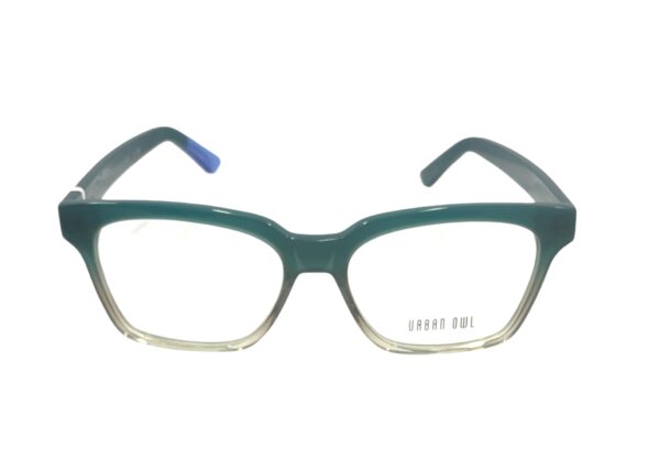 eyeglasses urban owl square shape slightly butterfly women green acetate transparent details