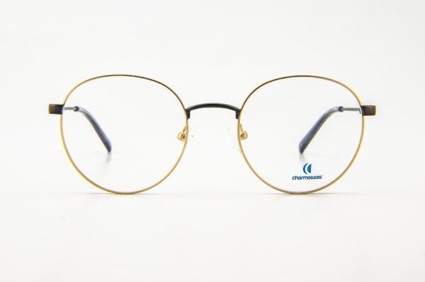 eyeglasses charmossas men women unisex round shape matte gold metallic frame bronze temples and bridge