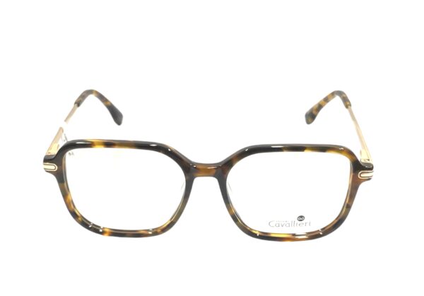 eyeglasses cavallieri women square shape brown havana acetate gold metallic frames