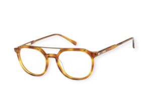 eyeglasses roxy men round shape honey brown acetate gold metallic bridge